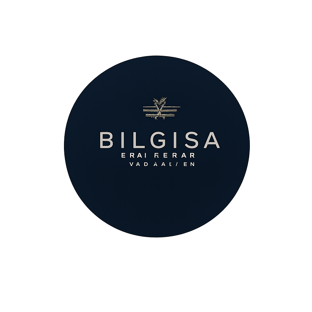 BILGISA Corporation